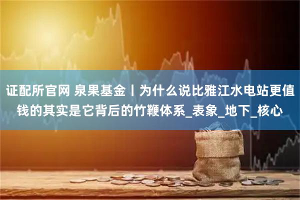 证配所官网 泉果基金丨为什么说比雅江水电站更值钱的其实是它背后的竹鞭体系_表象_地下_核心